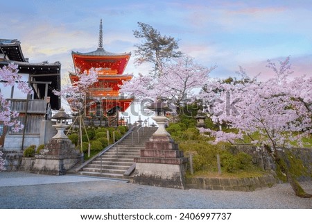 Kiyomizu-dera templein Kyoto, Japan with beauiful full bloom sakura cherry blossom in spring Royalty-Free Stock Photo #2406997737