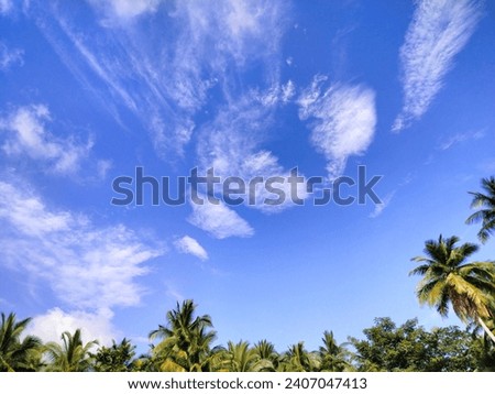 A picture of a blue sky, white clouds, trunks and coconut leaves that compete with the wide sky. Let the picture be seen differently. Tell stories, relax, relax, nature heals the heart.
