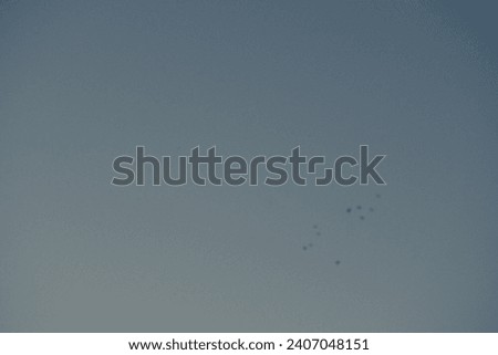 background of scenery with bird and sky with text space