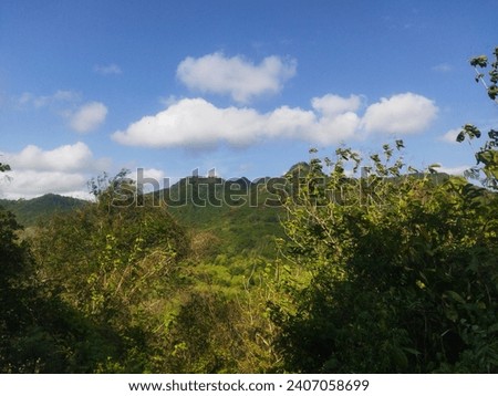 a picture of nature or trees in the mountains