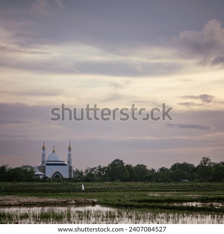 RICE-FIEL-WITH-CLOUD Stock Photos and Images - Avopix.com