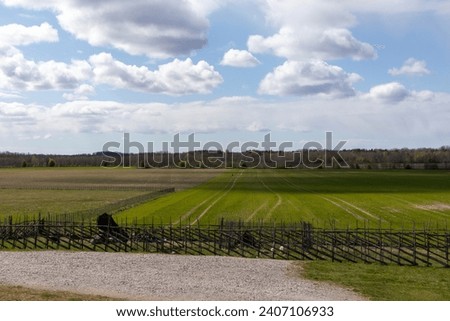 
A green crop field with a row of trees on the horizon and light clouds in the sky