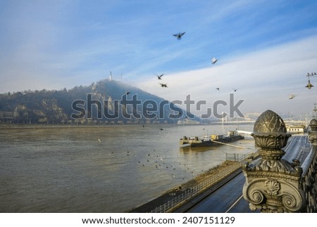 Budapest, Hungary - December 30, 2023: View of flooded Danube. Flying pigeons on the middle ground. Citadella on the background. Royalty-Free Stock Photo #2407151129