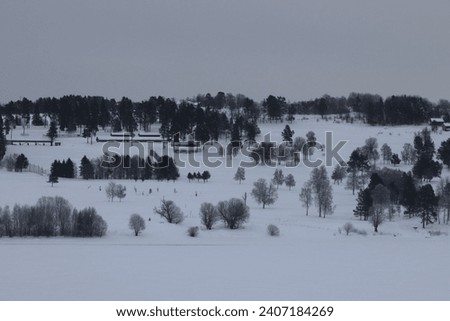 Landscapes in winter. Village and trees during the snowy period. Frozen lake.
