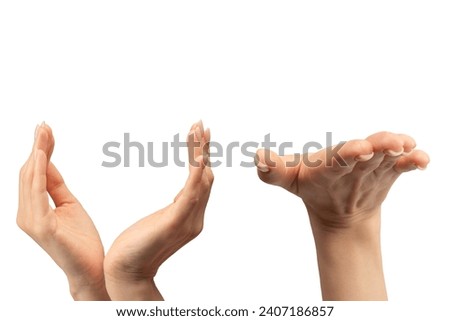 Woman hand isolated on a white background. 