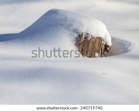 Stump covered by snow after blizzard. Winter.