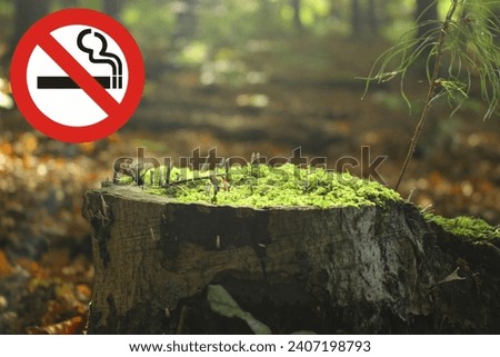 No smoking sign outdoor in a forest