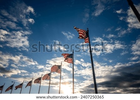American Flags Flying in the Wind