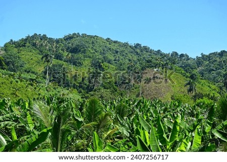 El Valle, Samana Peninsula, Dominican Republic