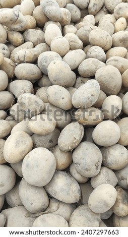 Pile of fresh raw potato potatoes on a plate cart - potato background - potato pictures - fresh from farm