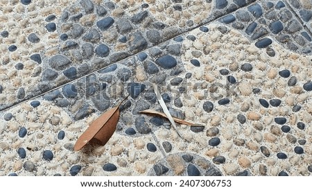 Texture of dried leaf on a brushed-coral-floor finish, gravel floor finish