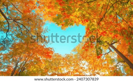 Autumn forest background. Vibrant color tree, red orange foliage in fall park. Nature change Yellow leaves in october season Sun up in blue heart shap Royalty-Free Stock Photo #2407307839