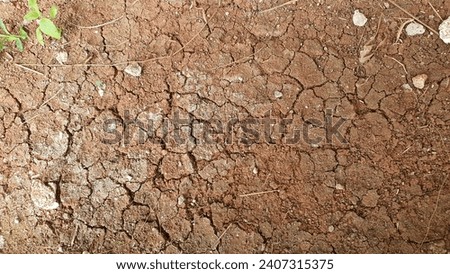 Photo of dry soil cracked texture with growing grass