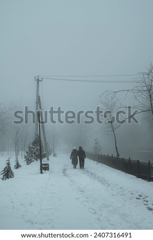 backs of elderly couple a man and woman walking along an alley in park in winter with snow in the fog Royalty-Free Stock Photo #2407316491