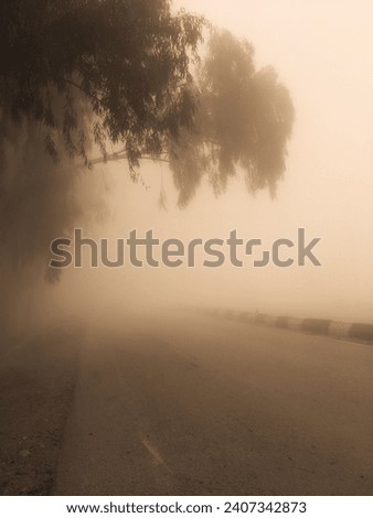 This is a foggy morning image