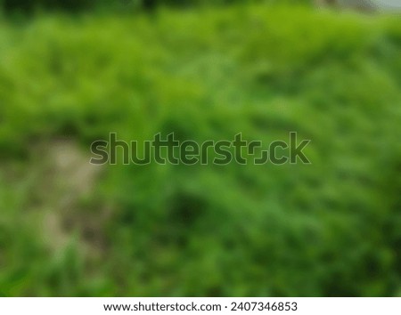 Taking blurry photos with a green grass flower theme