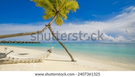 Tropical beach background as summer relax landscape with beach swing or hammock and white sand and calm sea for beach template. Amazing beach scene vacation and summer holiday concept. Luxury travel
