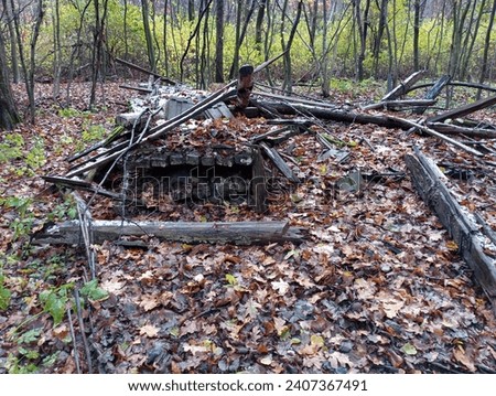 The remains of a forester's wooden house in the middle of an oak forest. Wooden beams and boards in the forest. Old rotten lumber in the forest in autumn. Royalty-Free Stock Photo #2407367491