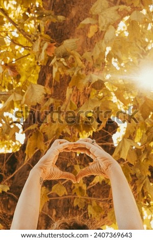 Human hands doing heart gesture symbol with orange and yellow autumn foliage in background. Concept of love and life and environment. Sunlight between the leaf. Saving nature and green future