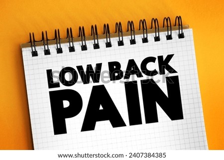 Low Back Pain - acute, or short-term back pain lasts a few days to a few weeks, text concept for presentations and reports
