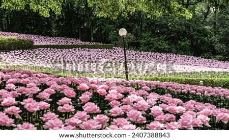 photo of flower garden in e-world in daegu