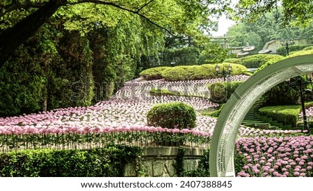photo of flower garden in e-world in daegu