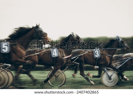 Racetrack horses run for the prize Royalty-Free Stock Photo #2407402865