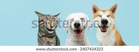 Banner pets. Dog and cat smiling dogs with happy expression. and closed eyes. Isolated on blue colored background on summer or spring season