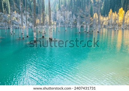 Autumn view of lake Kaindy or Dead lake of Kazakhstan with tree trunks rising up from its blueish water, horizontal shot Royalty-Free Stock Photo #2407431731