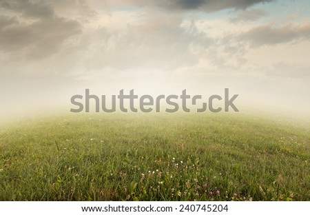 Simple beautiful surreal landscape with grass on misty background