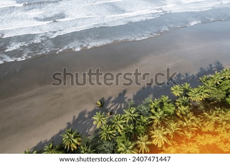 Clean empty tropical beach with white sea waves and palm trees aerial drone view