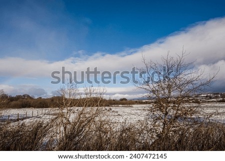 Winter countryside outdoor park beautiful view white snow blue sky fields trees panorama landscape background cold day fresh air healthy lifestyle walk explore travel lovely nature wallpaper content