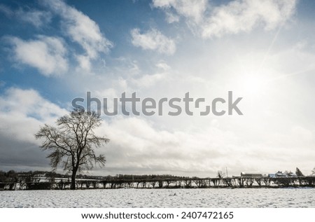 Winter countryside outdoor park beautiful view white snow blue sky fields trees panorama landscape background cold day fresh air healthy lifestyle walk explore travel lovely nature wallpaper content