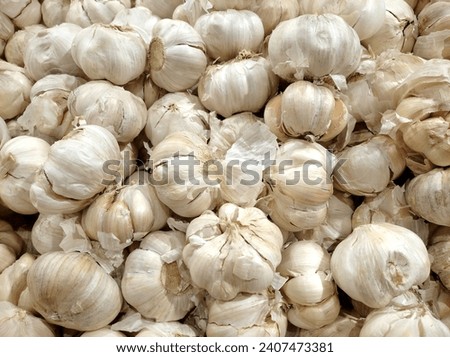 White garlic pile texture. Fresh garlic on market table closeup photo. Vitamin healthy food spice image. Spicy cooking ingredient picture. Pile of white garlic heads. White garlic head heap top view


