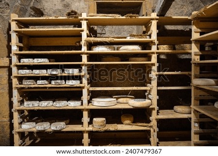 cheese cellar eat eating cow, goat, sheep cooking appetizer meal food snack on the table copy space food background rustic top view