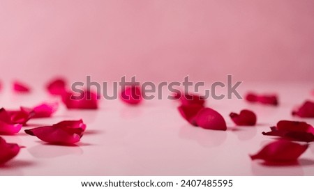 Rose Petals Spread on Pastel Pink for product montage