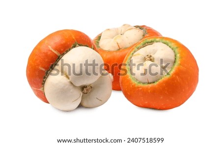 Three fresh ripe pumpkins isolated on white
