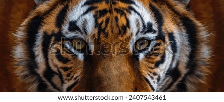 Close-up of the eyes of the tiger