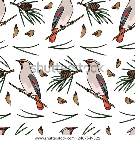 Vector seamless pattern with hand drawn Waxwings sitting on pine branches. Ink drawing, graphic style. Beautiful animal design elements, perfect for holidays prints and patterns