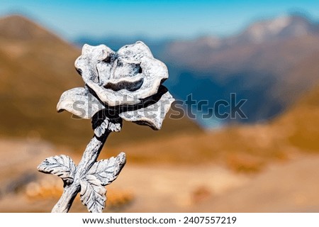 Details of a stone rose at the famous Kaunertal Glacier Road, Landeck, Tyrol, Austria