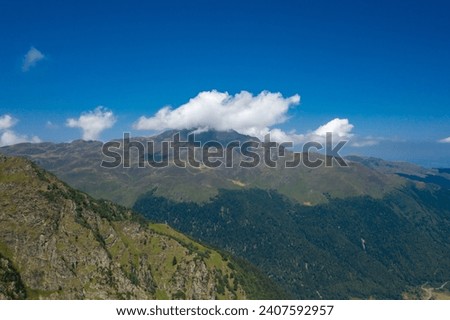 The green countryside in the mountains , Europe, France, Occitanie, Hautes-Pyrenees, in summer on a sunny day.