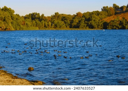 a stunning shot of the vast blue lake water surrounded by lush green trees at sunset with birds and rocks on the banks of the lake at Puddingstone Lake in San Dimas California USA Royalty-Free Stock Photo #2407633527