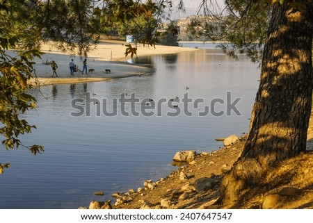 a beautiful summer landscape at Puddingstone Lake with a sandy beach, a lifeguard tower, lush green trees, rippling water, blue sky and clouds at sunset in San Dimas California USA Royalty-Free Stock Photo #2407647547