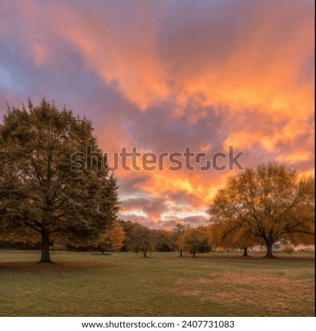 Beautiful image of  ground  with yellowish sky 