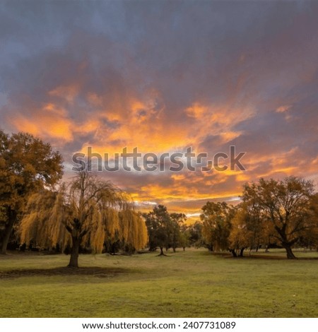 Beautiful image of  ground  with yellowish sky 