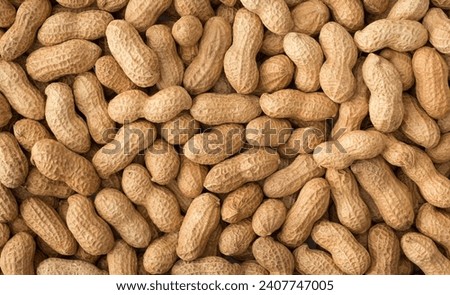 The peanut also known as the groundnuts.Peanuts are rich in monounsaturated and polyunsaturated fats, which are heart-healthy fats. They can help reduce bad cholesterol levels.it is very Delicious. Royalty-Free Stock Photo #2407747005