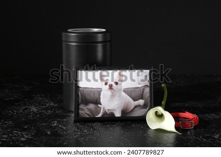 Frame with picture of dog, collar, mortuary urn and calla lily on dark background. Pet funeral