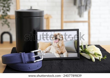 Frame with picture of dog, collar, mortuary urn and flowers on table, closeup. Pet funeral