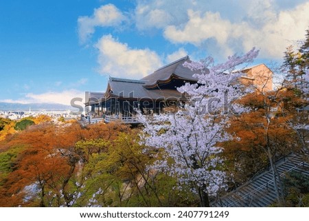 Kiyomizu-dera templein Kyoto, Japan with beauiful full bloom sakura cherry blossom in spring Royalty-Free Stock Photo #2407791249