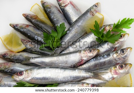Fresh sardines with parsley and lemon slices